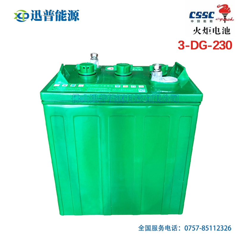火炬蓄電池3-DG-230 6V260Ah電動(dòng)車電瓶 平板車觀光車游覽車電池